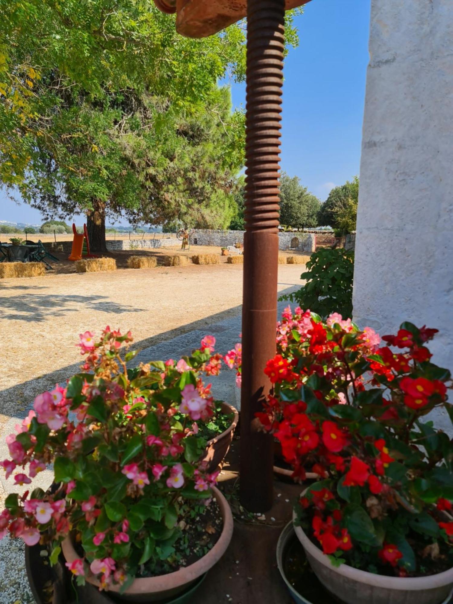 Masseria Gianca Cisternino Luaran gambar