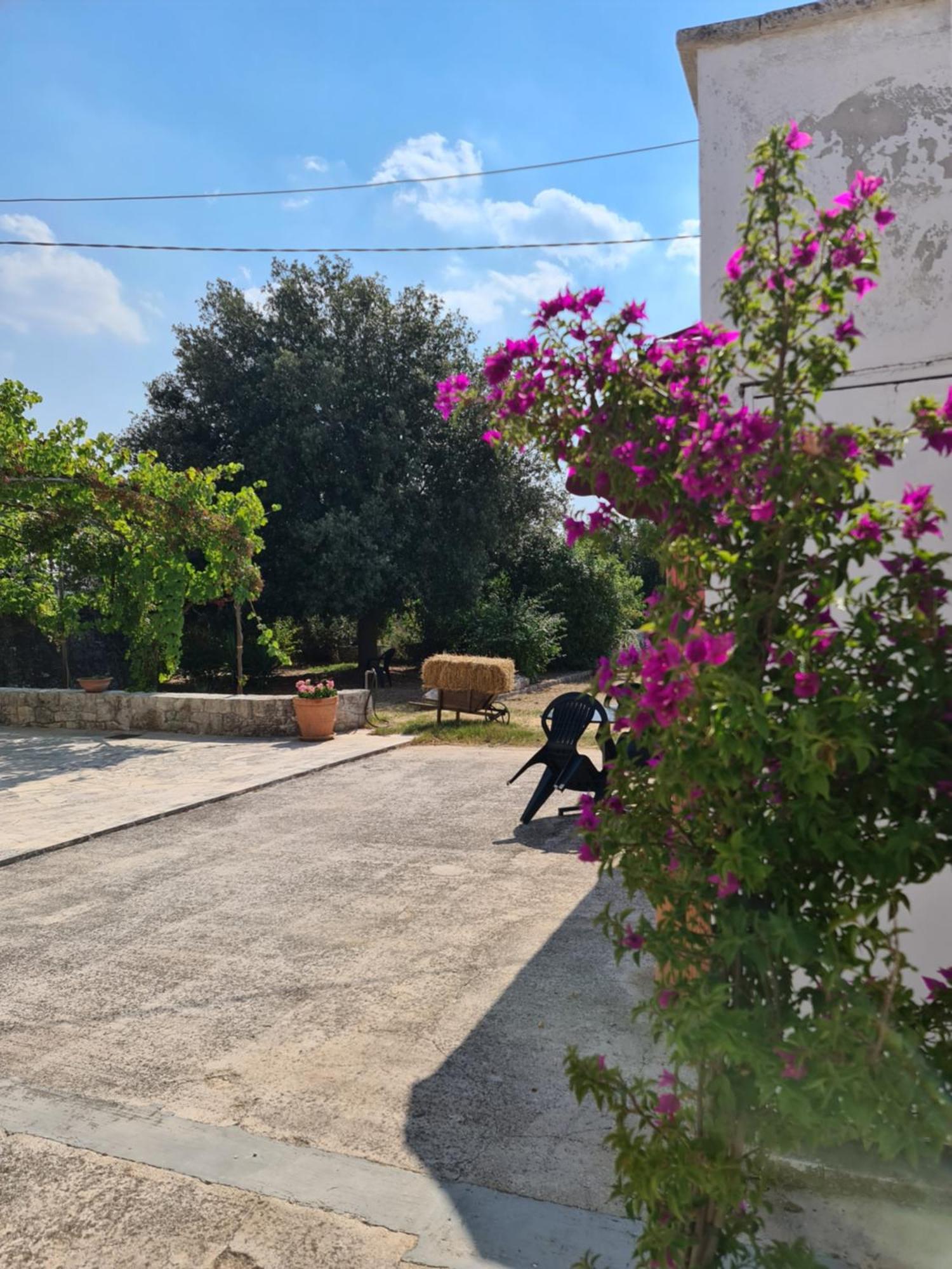 Masseria Gianca Cisternino Luaran gambar