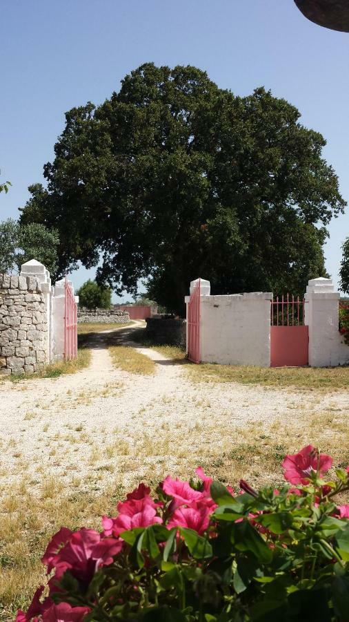 Masseria Gianca Cisternino Luaran gambar